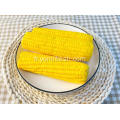 Corn rapide sur le COB